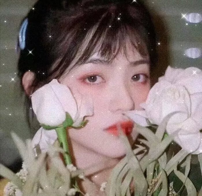古来诗人皆寂寞